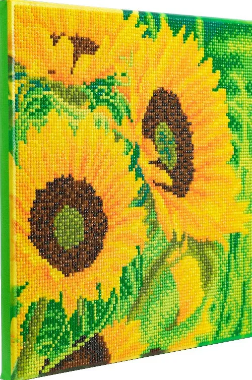 CAK-A172M: "Sunflower Joy" 30x30cm Crystal Art Kit