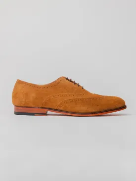 Helio Wingtip Oxford - Cognac Suede