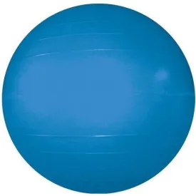 Therapy/Exercise Ball - 55cm/22" Dia. (Blue)